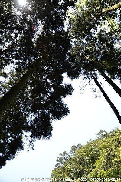 [新竹關西] 馬武督探索森林 20110529-斯麥樂三號旅遊趴趴走