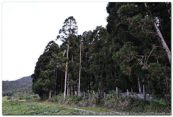[宜蘭員山] 雙連埤 低海拔溼地 20120705-斯麥樂三號旅遊趴趴走