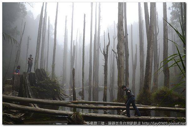 [南投竹山] 忘憂森林 霧中咖啡屋 尋找迷幻水樣森林 20120727-斯麥樂三號旅遊趴趴走