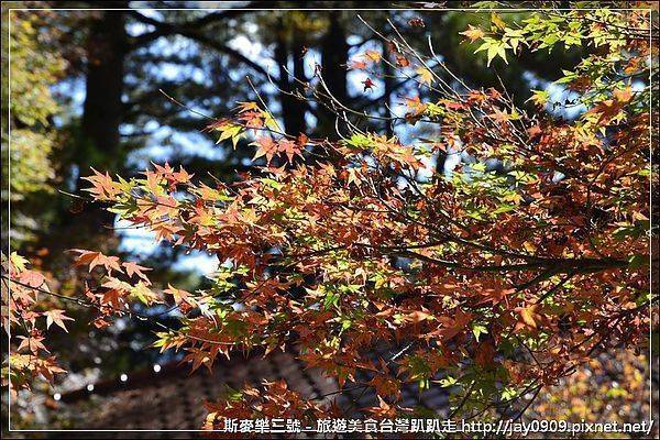 [台中和平] 福壽山農場賞楓趣 尋找美麗的秋天 20121103-斯麥樂三號旅遊趴趴走