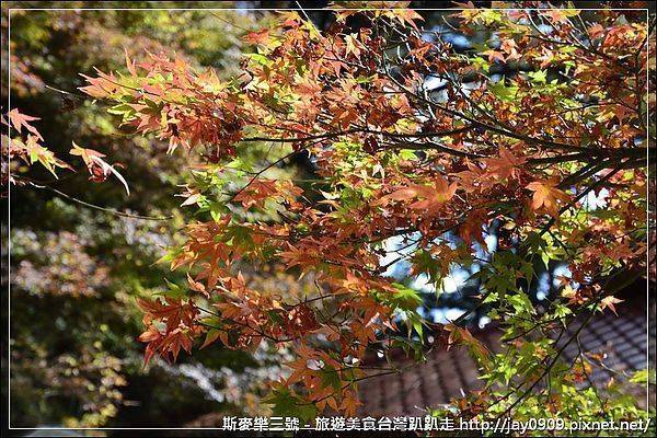 [台中和平] 福壽山農場賞楓趣 尋找美麗的秋天 20121103