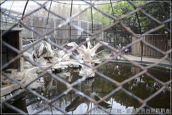 [新竹東區] 新竹市立動物園 全家看動物趣 20130324-斯麥樂三號旅遊趴趴走