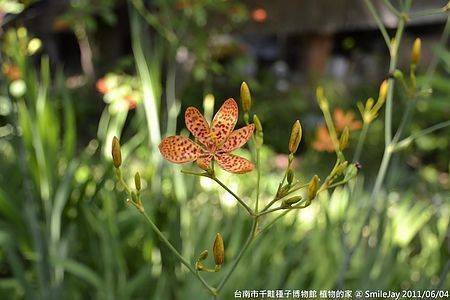 [台南北區] 千畦種子植物的家 綠手指生態關懷協會 遊記 20110604-斯麥樂三號旅遊趴趴走