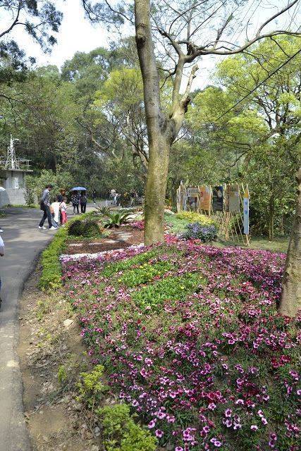 [新竹東區] 十八尖山 20110320-斯麥樂三號旅遊趴趴走