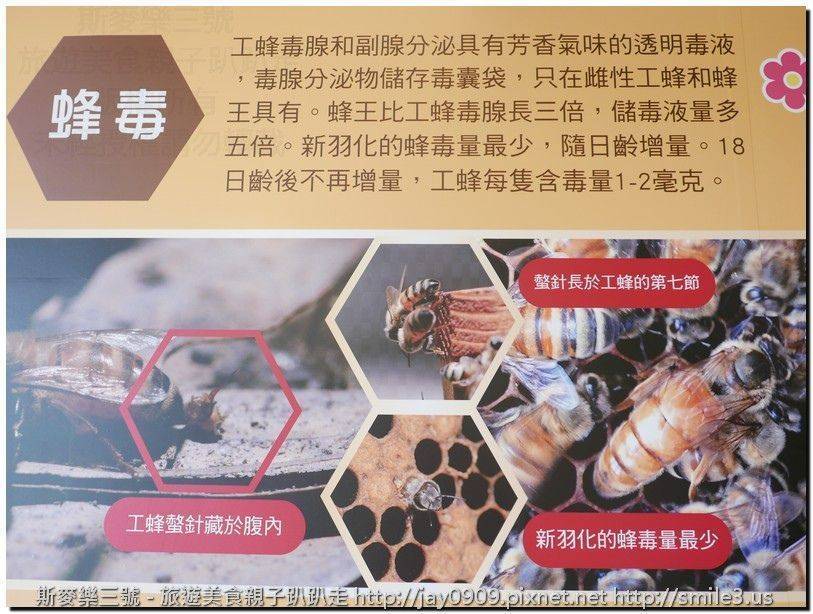 [花蓮鳳林] 蜂之鄉蜜蜂生態教育館 20160812-斯麥樂三號旅遊趴趴走