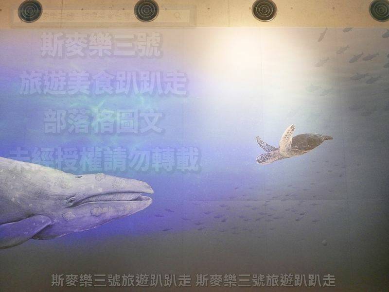 [台南左鎮] 左鎮化石園區 化石主題博物館 20200728-斯麥樂三號旅遊趴趴走