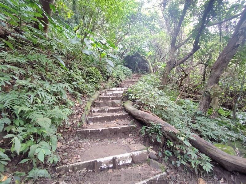 [桃園大溪] 新溪洲山登山步道 20220405-斯麥樂三號旅遊趴趴走