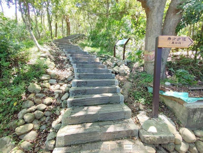 [桃園楊梅] 秀才步道 天梯步道 20220605-斯麥樂三號旅遊趴趴走