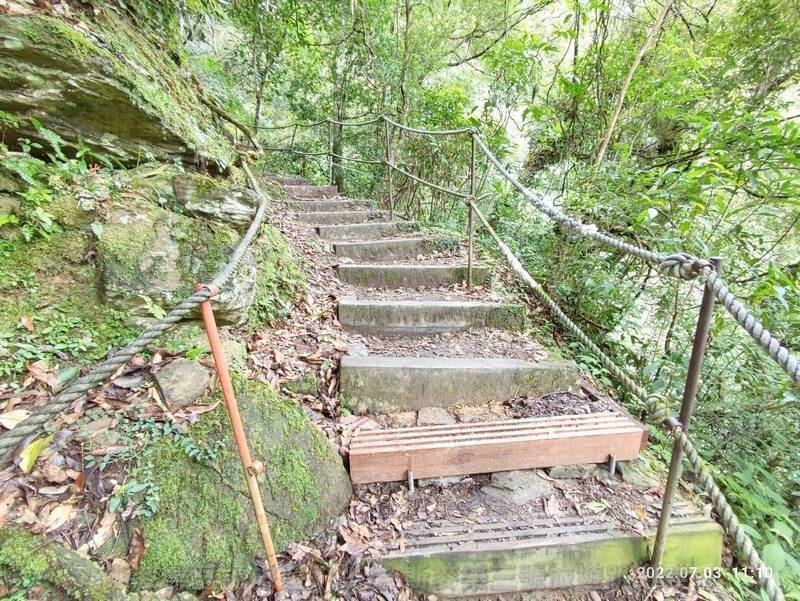 [新北市烏來] 內洞國家森林遊樂區 20220703-斯麥樂三號旅遊趴趴走