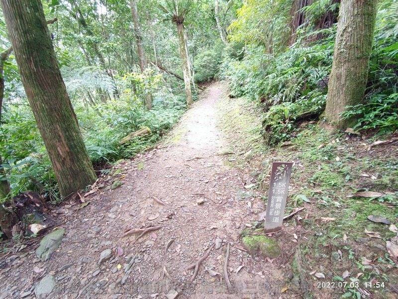 [新北市烏來] 內洞國家森林遊樂區 20220703-斯麥樂三號旅遊趴趴走