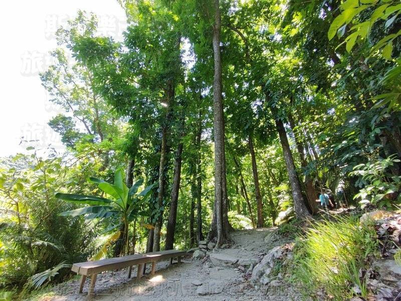 [台東卑南] 知本國家森林遊樂區 20220723-斯麥樂三號旅遊趴趴走
