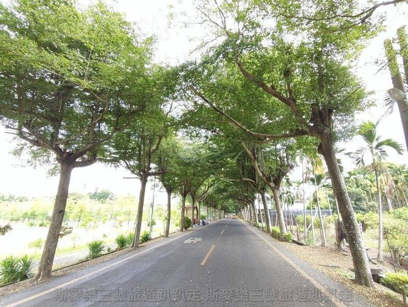 [屏東潮州] 泗林健走步道 潮州綠色隧道 警政社區休憩園地 20220724