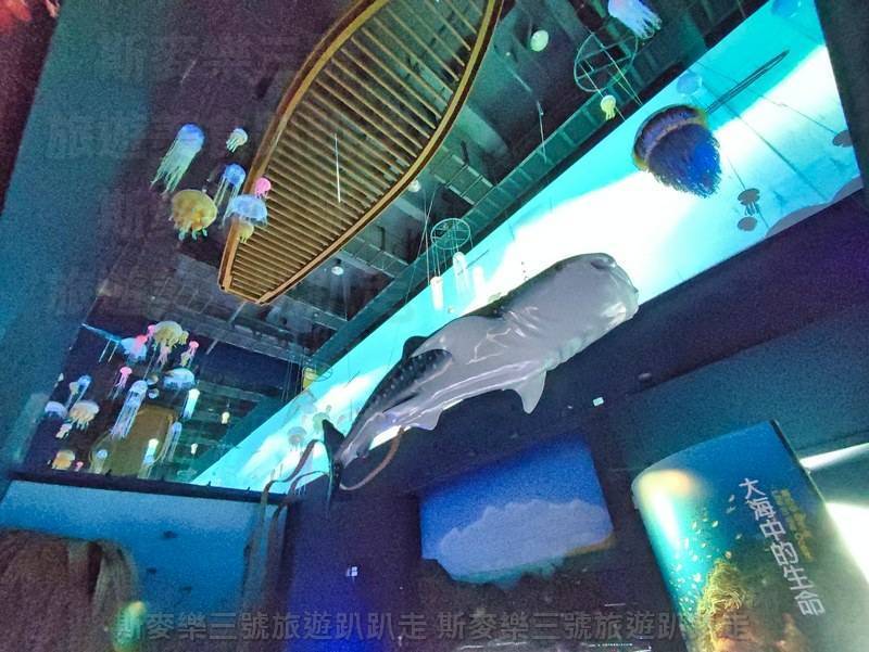 [基隆中正] 國立海洋科技博物館主題館 值得一遊的地方 20220818-斯麥樂三號旅遊趴趴走