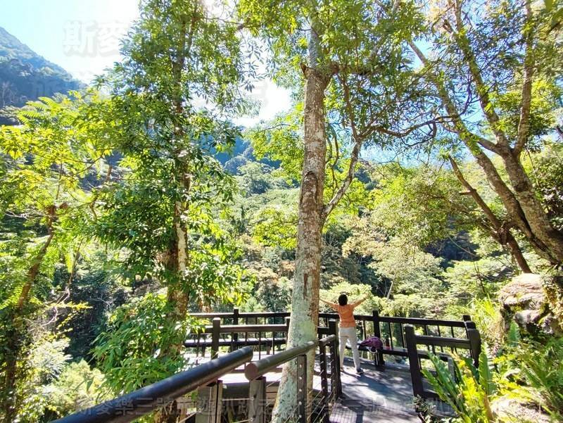 [台中和平] 八仙山國家林遊樂區 20220909-斯麥樂三號旅遊趴趴走