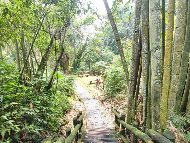 [嘉義番路] 迷糊步道 (米洋溪步道) 竹林步道 20220910-斯麥樂三號旅遊趴趴走