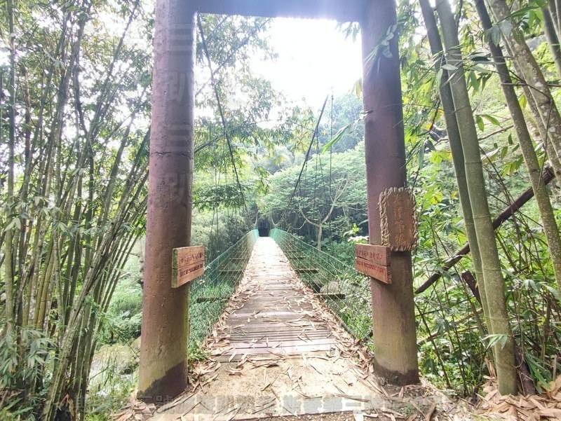 [嘉義番路] 迷糊步道 (米洋溪步道) 竹林步道 20220910-斯麥樂三號旅遊趴趴走
