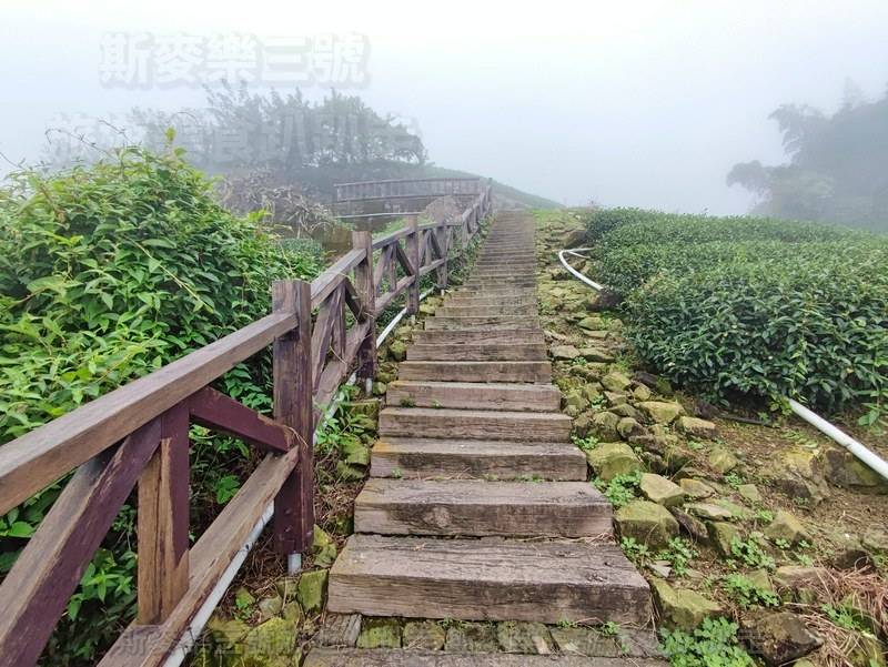 [嘉義番路] 霧之道 石棹步道群 20220910-斯麥樂三號旅遊趴趴走