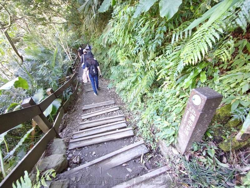 [屏東獅子] 雙流國家森林遊樂區 跳溪石看瀑布趣 20230126-斯麥樂三號旅遊趴趴走
