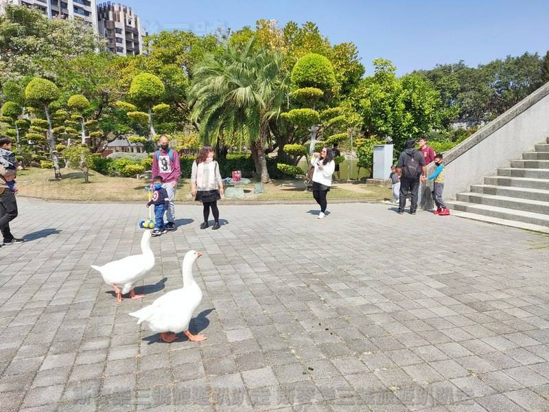 [台中南屯] 豐樂雕塑公園 人工湖雕塑散步趣 20230227-斯麥樂三號旅遊趴趴走