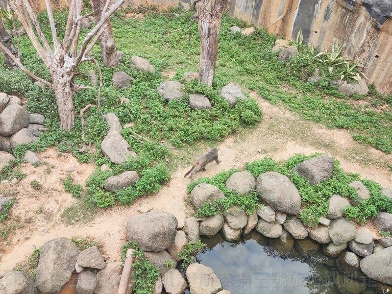 [新竹東區] 新竹市立動物園 20231022-斯麥樂三號旅遊趴趴走