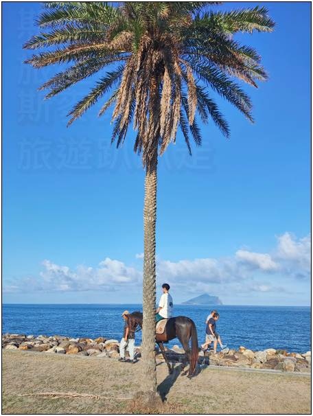 [宜蘭頭城] 頭城濱海森林公園 20240803-斯麥樂三號旅遊趴趴走