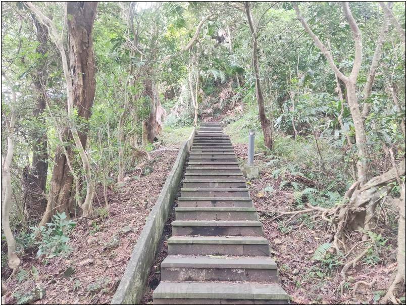 [新北市新店] 碧潭、和美山步道 二訪 20241026-斯麥樂三號旅遊趴趴走