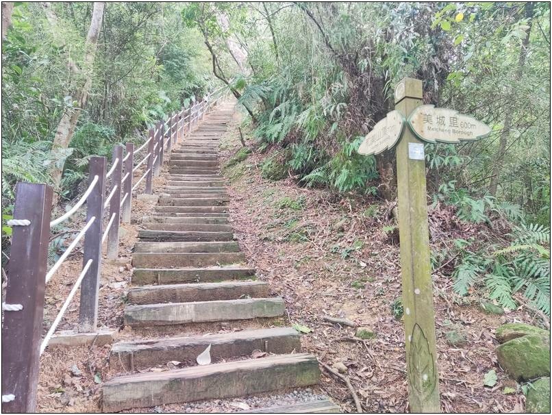 [新北市新店] 碧潭、和美山步道 二訪 20241026-斯麥樂三號旅遊趴趴走