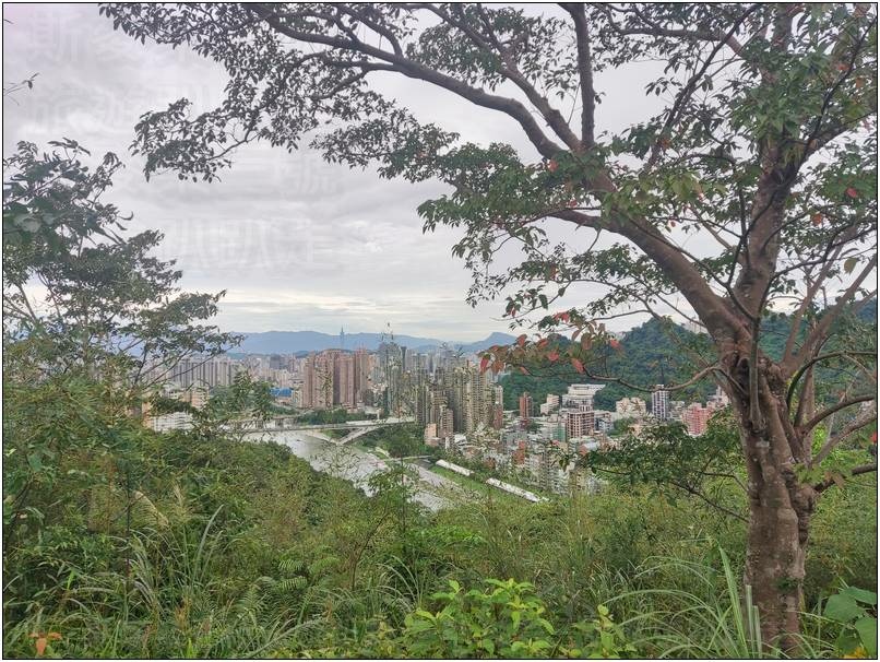 [新北市新店] 碧潭、和美山步道 二訪 20241026-斯麥樂三號旅遊趴趴走