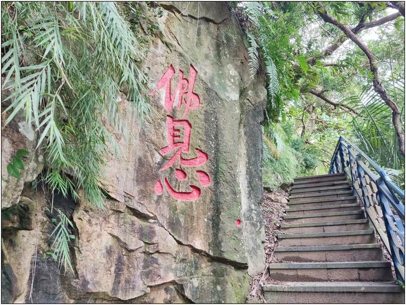 [新北市新店] 碧潭、和美山步道 二訪 20241026-斯麥樂三號旅遊趴趴走