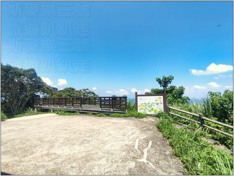 [新竹橫山] 大崎棟古道 樂善堂起登 20240804-斯麥樂三號旅遊趴趴走