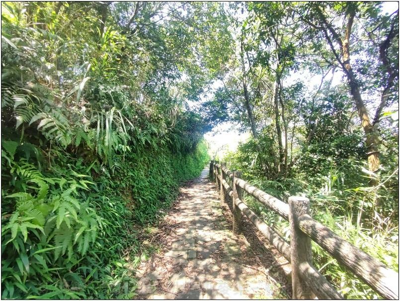 [新竹橫山] 大崎棟古道 樂善堂起登 20240804-斯麥樂三號旅遊趴趴走