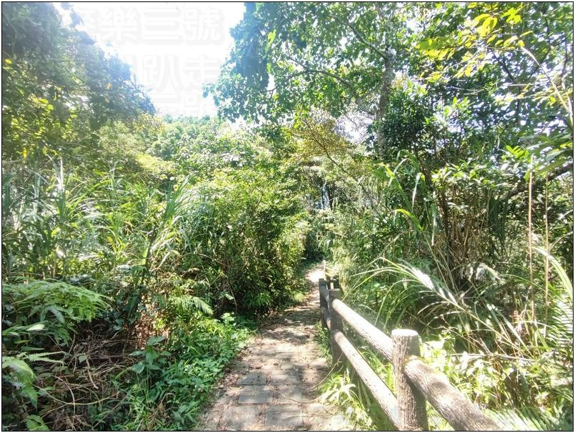 [新竹橫山] 大崎棟古道 樂善堂起登 20240804-斯麥樂三號旅遊趴趴走