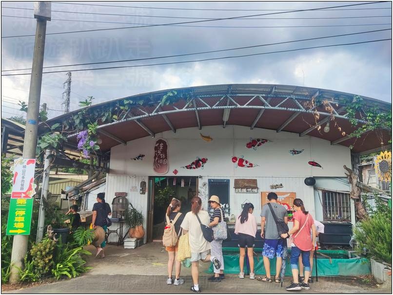 [桃園龍潭] 繞山花（三和青創基地）、佳河錦鯉園 20240915-斯麥樂三號旅遊趴趴走