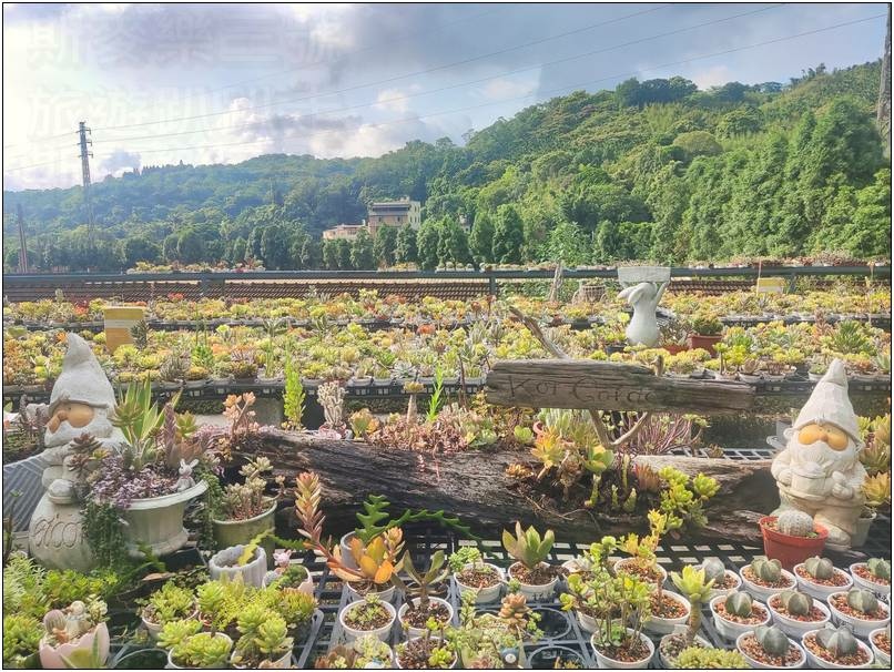 [桃園龍潭] 繞山花（三和青創基地）、佳河錦鯉園 20240915-斯麥樂三號旅遊趴趴走