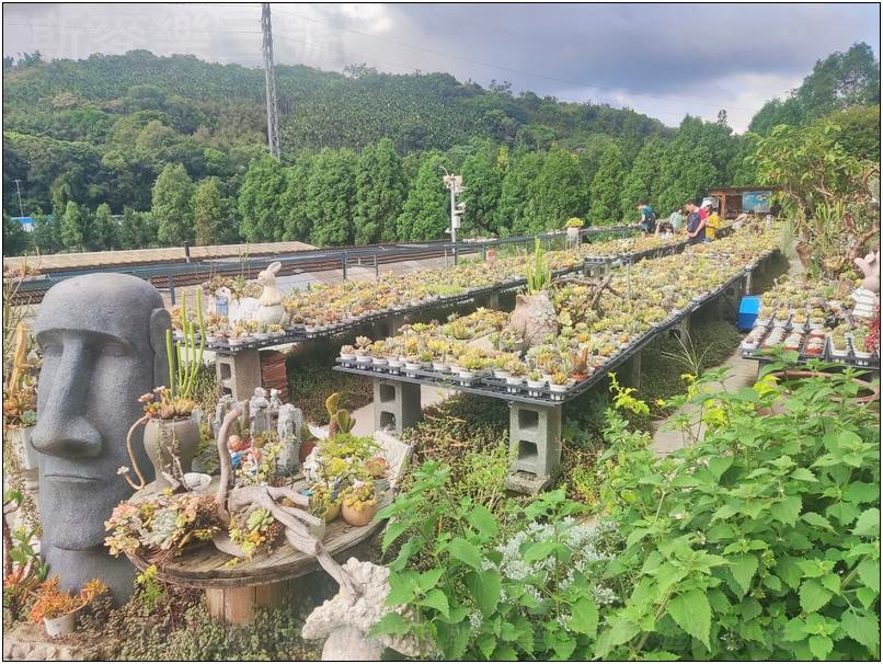 [桃園龍潭] 繞山花（三和青創基地）、佳河錦鯉園 20240915-斯麥樂三號旅遊趴趴走