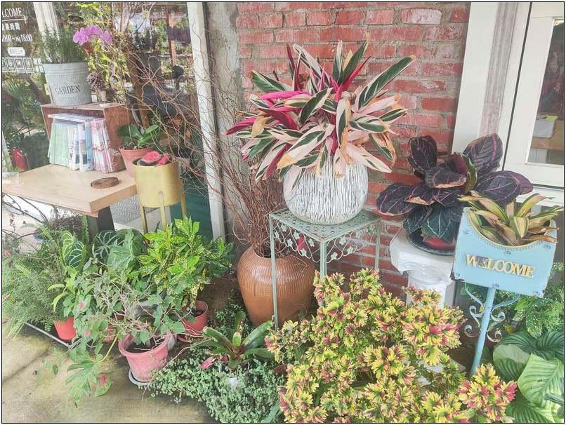 [桃園龍潭] 繞山花（三和青創基地）、佳河錦鯉園 20240915-斯麥樂三號旅遊趴趴走