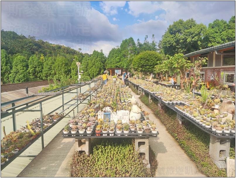 [桃園龍潭] 繞山花（三和青創基地）、佳河錦鯉園 20240915-斯麥樂三號旅遊趴趴走