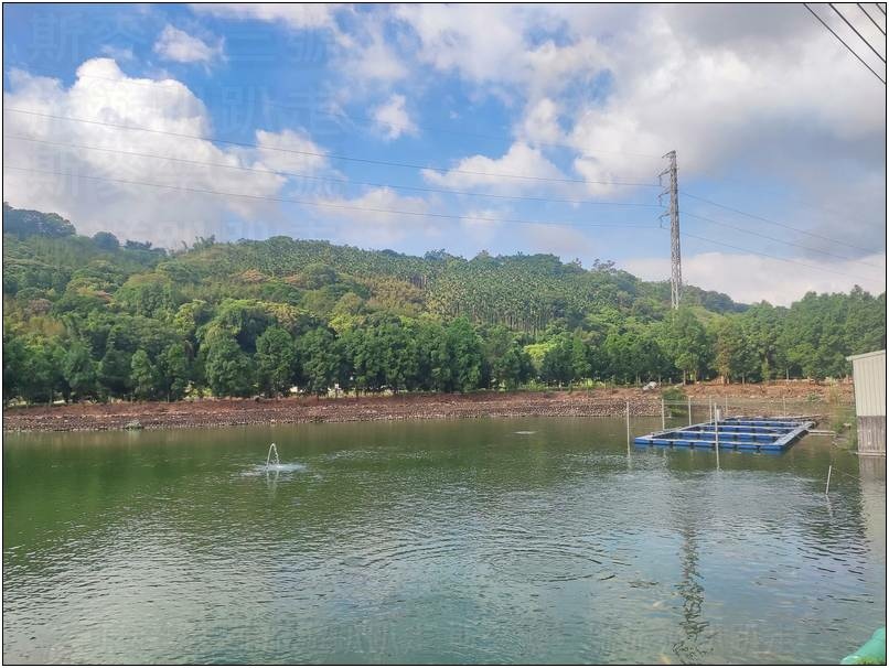 [桃園龍潭] 繞山花（三和青創基地）、佳河錦鯉園 20240915-斯麥樂三號旅遊趴趴走