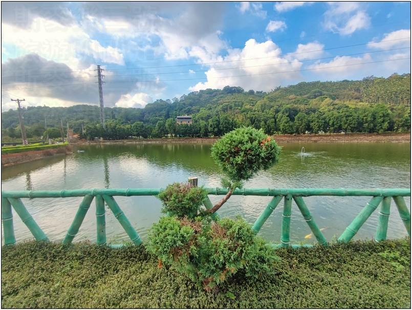 [桃園龍潭] 繞山花（三和青創基地）、佳河錦鯉園 20240915-斯麥樂三號旅遊趴趴走