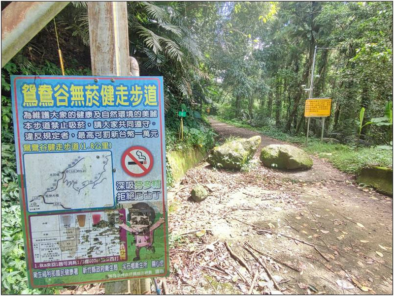 [新竹尖石] 鴛鴦谷瀑布 輕鬆容易的步道 20240929