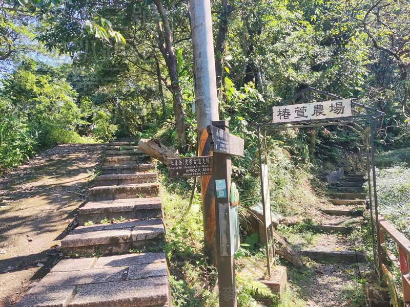 中間的木製指標寫著「土庫岳」和「椿萱農場」,方向標示得很清楚,照著土庫岳的方向繼續前進就對了。 中間的木製指標寫著「土庫岳」和「椿萱農場」,方向標示得很清楚,照著土庫岳的方向繼續前進就對了。