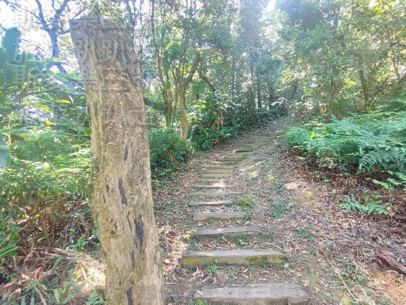 其實完整的更寮古道,要從 舊莊街二段122巷登山口 開始走。-2 其實完整的更寮古道,要從 舊莊街二段122巷登山口 開始走。-2