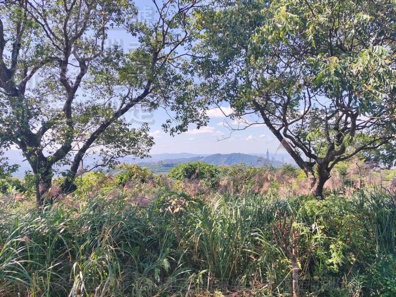 土庫岳離市區不算遠,卻能看到這樣的景色,也難怪會成為不少人假日健行的選擇。 土庫岳離市區不算遠,卻能看到這樣的景色,也難怪會成為不少人假日健行的選擇。